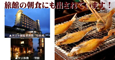 日本海産カレイの一夜干し・カレイ干物・鰈・かれい・カレイ一夜干し・かれい干物