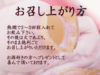 徳利いか【宮津・鞍岡商店】するめいか【丹後の珍味】【父の日ギフトに】お酒がすすむ珍味♪【するめ】【するめイカ】【いか徳利】【イカ徳利】【スルメイカ】【酒の肴】【酒びたし】