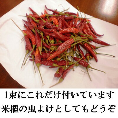 ★国産【鷹の爪】【唐辛子】40g【京都丹後久美浜産】【国産】【安心安全】【京都丹後】【たかのつめ】【とうがらし国産】【唐辛子国産】【鷹の爪国産】【お土産処かにはん】