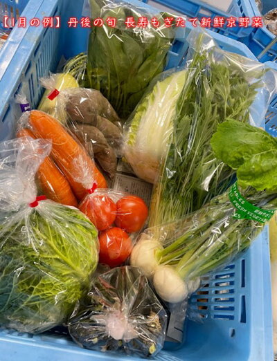 【丹後の旬】長寿もぎたて新鮮京野菜BOX1月野菜例【京都丹後の旬】をお届け!長寿もぎたて新鮮京野菜BOX【6種】安心&安全な農家さんから届く地野菜【京野菜セット】【京野菜詰め合わせ】【くみはまSANKAIKAN】【お土産処かにはん】