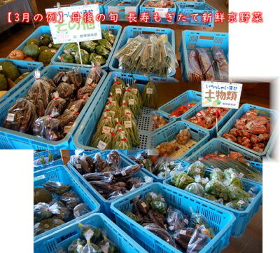 【丹後の旬】長寿もぎたて新鮮京野菜BOX3月野菜例【京都丹後の旬】をお届け!長寿もぎたて新鮮京野菜BOX【6種】安心&安全な農家さんから届く地野菜【京野菜セット】【京野菜詰め合わせ】【くみはまSANKAIKAN】【お土産処かにはん】