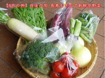 【丹後の旬】長寿もぎたて新鮮京野菜BOX5月野菜例【京都丹後の旬】をお届け!長寿もぎたて新鮮京野菜BOX【6種】安心&安全な農家さんから届く地野菜【京野菜セット】【京野菜詰め合わせ】【くみはまSANKAIKAN】【お土産処かにはん】