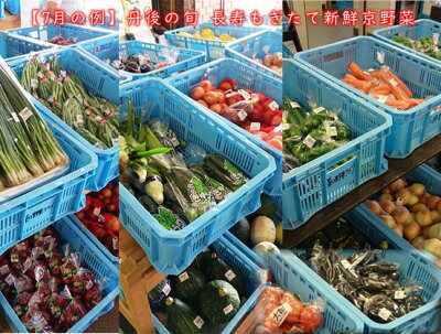 【丹後の旬】長寿もぎたて新鮮京野菜BOX7月野菜例【京都丹後の旬】をお届け!長寿もぎたて新鮮京野菜BOX【6種】安心&安全な農家さんから届く地野菜【京野菜セット】【京野菜詰め合わせ】【くみはまSANKAIKAN】【お土産処かにはん】