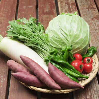 【丹後の旬】長寿もぎたて新鮮京野菜BOX(6種)