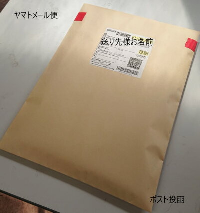 【京都丹後産】【たいざ乾わかめ1袋】【たいざ板わかめ】【京丹後市】【京都丹後お土産】【京丹後板わかめ】【板わかめ京都】【板わかめ丹後】【日本海産】【山陰海岸国立公園】【丹後産】【天然わかめ】【通販かにはん】