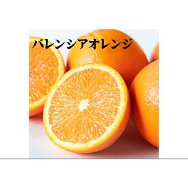 紀州和歌山産　バレンシアオレンジ　3kg 訳ありご家庭用