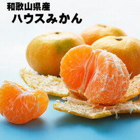 紀州有田　ハウスみかんM24個入(約2.4kg)【ギフトに最適！】【送料無料】