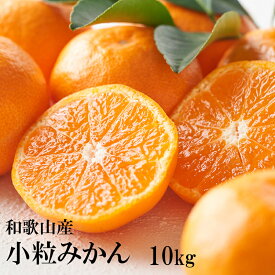 ギュッと味が濃縮　本場紀州和歌山の小粒みかん 　10kg　9,300円