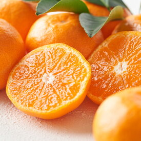 本場紀州和歌山みかん 　大粒　2L〜Lサイズ　5kg