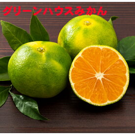 和歌山有田産　グリーンハウスみかん　Mサイズ48玉（約5kg）【送料無料・一部地域除く】