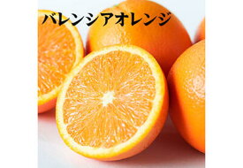 紀州和歌山産　バレンシアオレンジ　3kg 【送料無料】