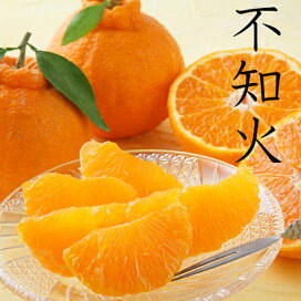 楽天市場】【送料無料】本場紀州の南高梅(完熟）梅干し用大粒 3L 10kg 