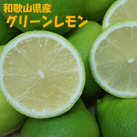 紀州和歌山産グリーンレモン 3kg　2,980円 【送料無料・一部地域除く】国産レモン、レモン