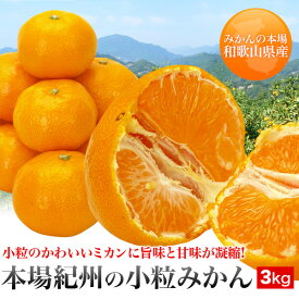 【ご予約品】ギュッギュッと旨みが濃縮　本場紀州和歌山の小粒みかん　3kg【送料無料　一部地域除く】