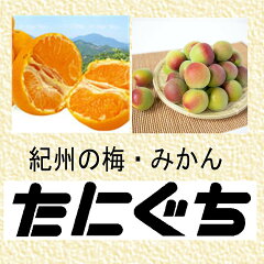 紀州みかんのお店　たにぐち