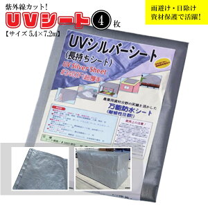 y4Zbgz#3400Vo[UVV[g 5.4m×7.2m  ό {V[g