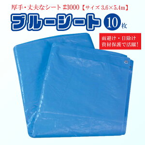 y10Zbgz#3000u[V[g 3.6m×5.4m  ϋvQ {V[g