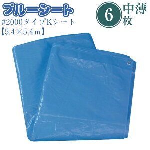 y6Zbgz#2000u[V[g 5.4m×5.4m ^Cv {V[g