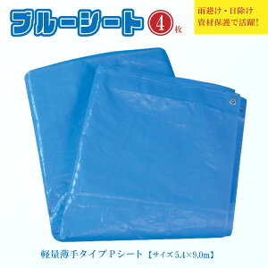 y4Zbgzyʃu[V[g 5.4m×9.0m ^Cv {V[g