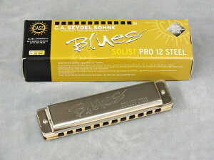 SEYDEL (�T�C�h��) Blues Solist Pro 12 Steel (�\���X�g�E�v�� 12 �X�e�B�[��) �y10�z�[���Y(�u���[�X�n�[�v)�z