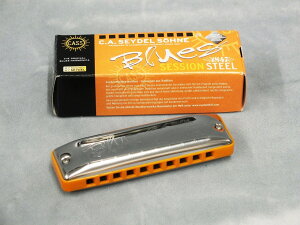 SEYDEL (�T�C�h��) Blues Session Steel (�Z�b�V�����E�X�e�B�[��) �y10�z�[���Y(�u���[�X�n�[�v)�z