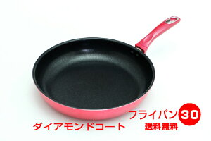 KXΐpׂ2 y_CAhR[g@tCp30cm V@JHƁy@kCꌧ@X@@Hcz