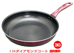 VIyIH`KXΑΉzׂגy2_ChR[gtCp 30cm JHƁy@kCEeEꌧX@@Hcz