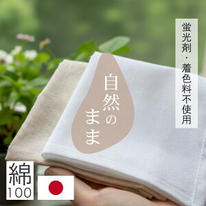 y |CgAbv Ԍ 9܂ z nJ` 100 { VRR 25X25cm Y VR@ uܕsgp F VO i`  ItN zCg ɂ₳ _炩