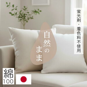 y |CgAbv Ԍ 9܂ z NbVJo[ 100 { VRR 45X45cm Y VR@ uܕsgp F VO i`  ItN zCg ɂ₳ _