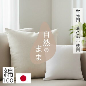 y |CgAbv Ԍ 9܂ z NbVJo[ 100 { VRR 60X60cm Y VR@ uܕsgp F VO i`  ItN zCg ɂ₳ _