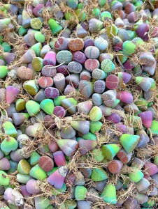 T[rXi@_ A RmtBc g[vXi1j@Z @ϗtA@CeA@VERVE