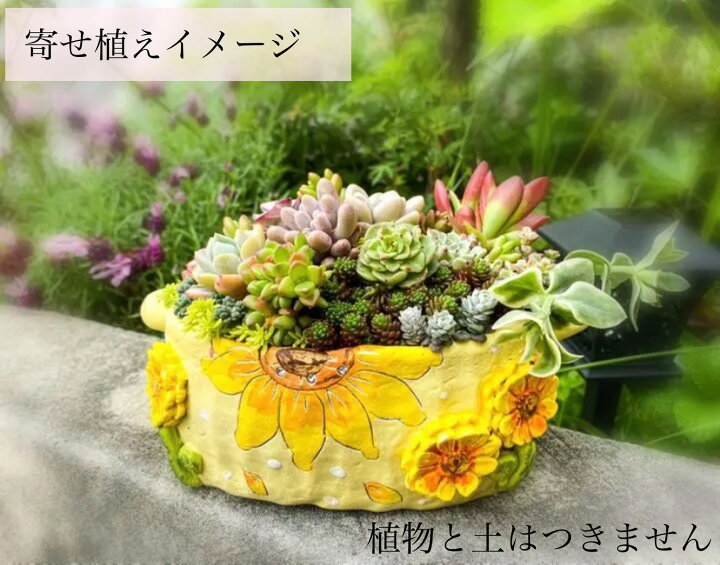 楽天市場 陶器植木鉢 職人さんの手びねり鉢 ひまわり模様 ひとつひとつ手作り 陶器 多肉植物 寄せ植えに 黄色 グレー すみれ色 多肉の森