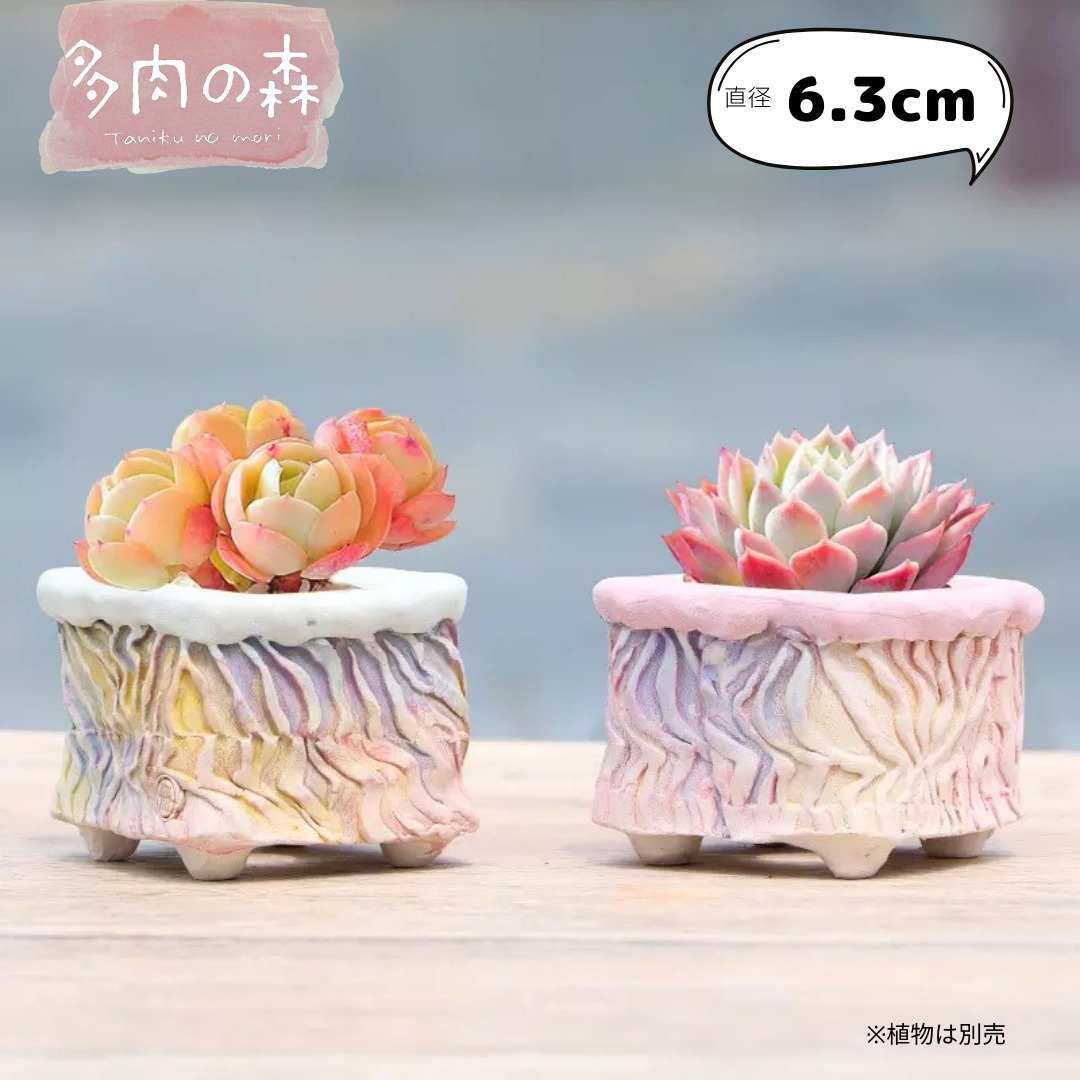 韓国 鉢 - プランターの人気商品・通販・価格比較 - 価格.com