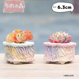 素焼き鉢 2号の人気商品 通販 価格比較 価格 Com