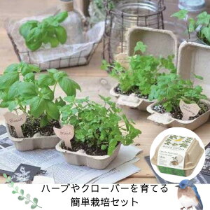 種 クローバー 四葉の人気商品 通販 価格比較 価格 Com
