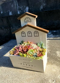 ウッディメゾンプランター　寄せ植え 多肉植物 プレゼント