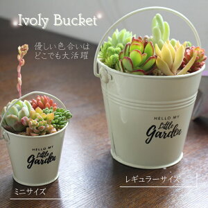 多肉植物 寄せ植え ブリキのバケツ アイボリー 多肉 11種 4号鉢 贈り物 観葉植物 インテリア ハロウィン 敬老の日 新築祝 誕生日祝 開店祝 結婚式祝