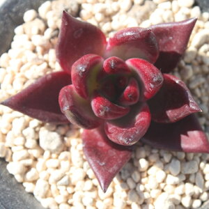 [~O GPxA ؍c KN [bg A