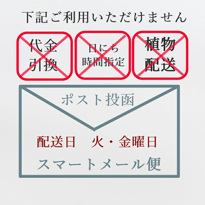 楽天市場 園芸ラベル 小 カラーラベル 5枚セット 白 ネームプレート 多肉植物名前ラベル 植物名前プレート 株式会社多肉永遠楽天市場店