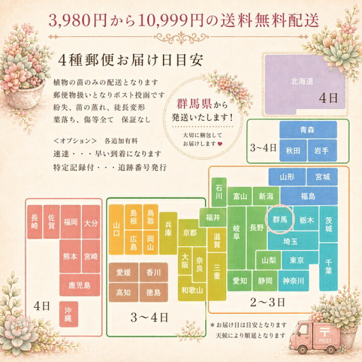 楽天市場 永遠の華 とはのはな エケベリア Mサイズ6ｃｍポット Echeveria 薔薇咲 ロゼット 多肉植物 株式会社多肉永遠楽天市場店