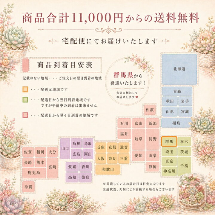 楽天市場 薄化粧 セダム Mサイズ6ｃｍポット Sedum Palmeri 小 中型種 幹立ちタイプ 多肉植物 男前 かわいい きれい 寄せ植えにも 株式会社多肉永遠楽天市場店
