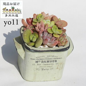 A 񂹐A  yo11 ~g|bg } Vzj aj j TvCY v[g ̓ } ̓