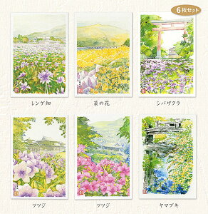 花 ポストカード セットの人気商品 通販 価格比較 価格 Com