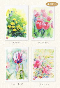 花 ポストカード セットの人気商品 通販 価格比較 価格 Com