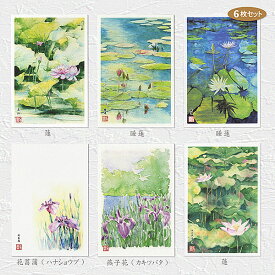 楽天市場 菖蒲 絵葉書の通販