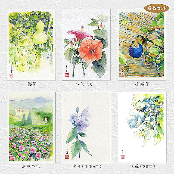楽天市場 夏の花３ ６枚セット ポストカードセット 絵はがきセット 絵葉書 花 夏 瓢箪 ひょうたん ハイビスカス 小茄子 なす ナス キキョウ 桔梗 フヨウ 芙蓉 水彩画 タニムラ ポストカード ストア