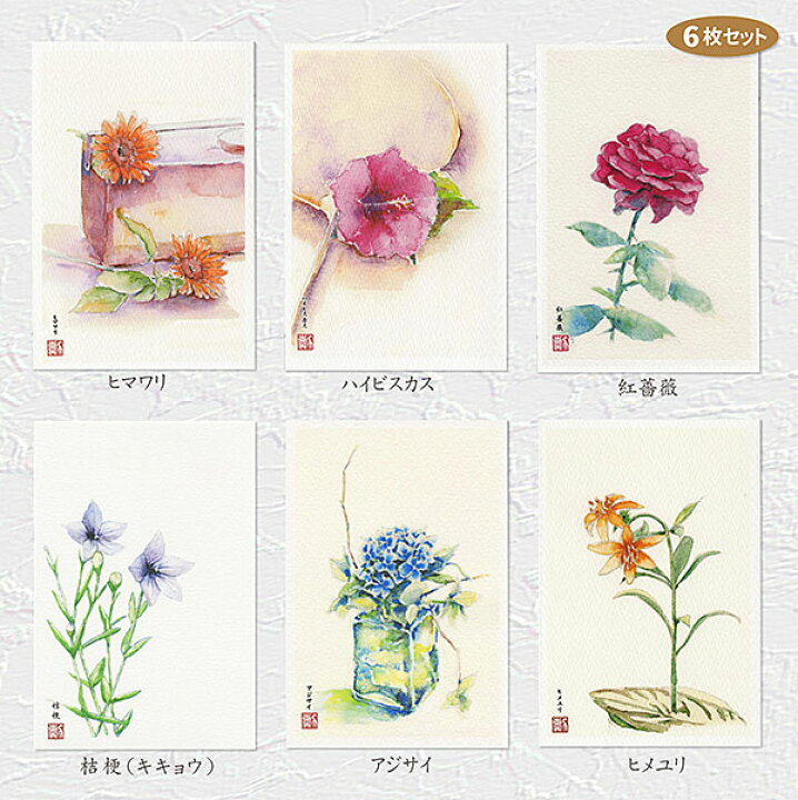 楽天市場 夏の花４ ６枚セット ポストカードセット 絵はがきセット 絵葉書 花 夏 ひまわり ハイビスカス 薔薇 バラ キキョウ 桔梗 紫陽花 アジサイ ヒメユリ 姫百合 水彩画 タニムラ ポストカード ストア