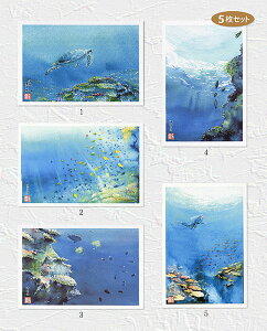  yVLO1ʓ Xʁ@5Zbg ( Mы CT E~K TS _CrO C C cǊ  ʉ i ) XIWiy fC[LO 1ʁE Tԃ