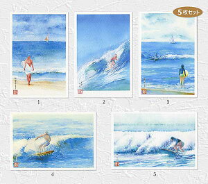 Ó̊C2@5Zbg (  C Ó T[t@[ T[t{[h g CfBO eCNIt ʉ i ) XIWi