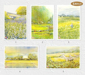 c̕i@5Zbg (  R  c C ʉ i ) XIWiy fC[LO 8ʓ z